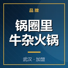 锅圈里牛杂火锅